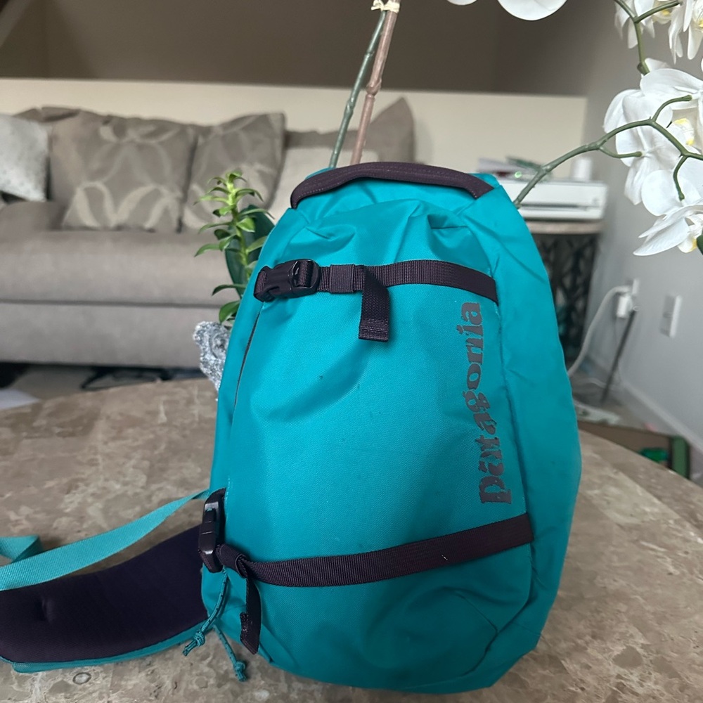 Patagonia Teal Sling Bag